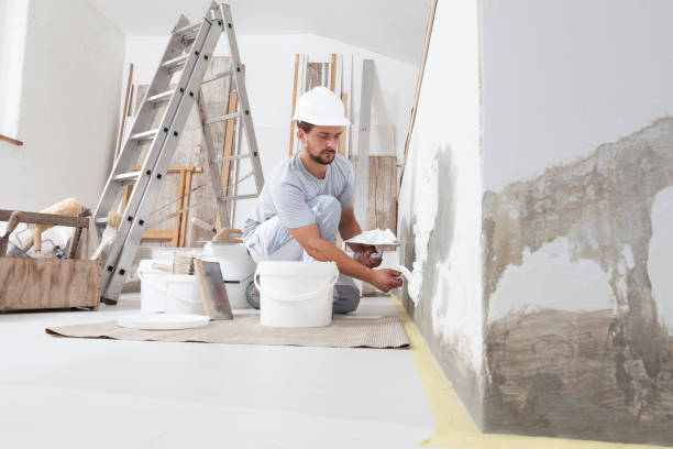 Best Water Damage & Mold Remediation  in Reinbeck, IA